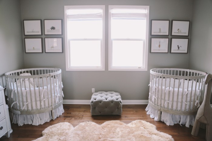 Twin nursery decor ideas