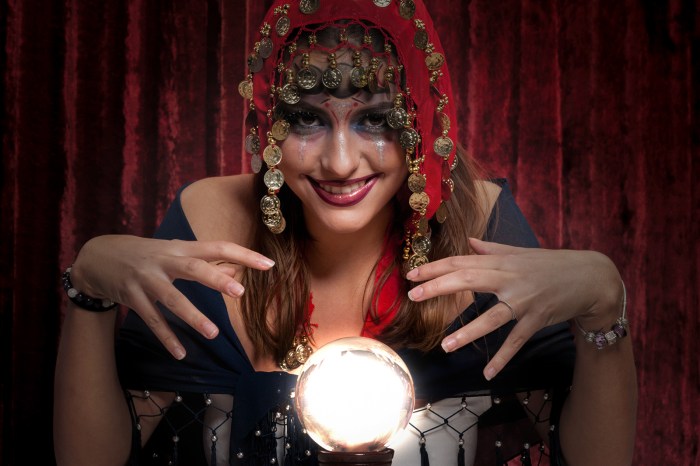 Fortune teller diy costume