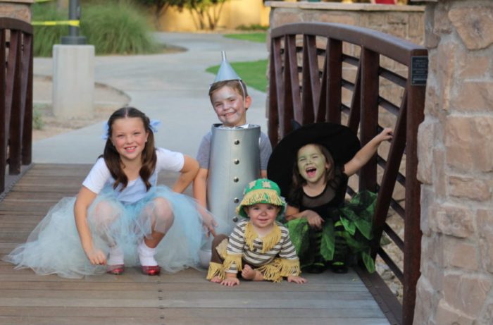 Wizard of oz costumes diy