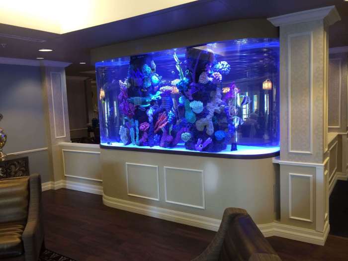 Fish aquarium decor ideas