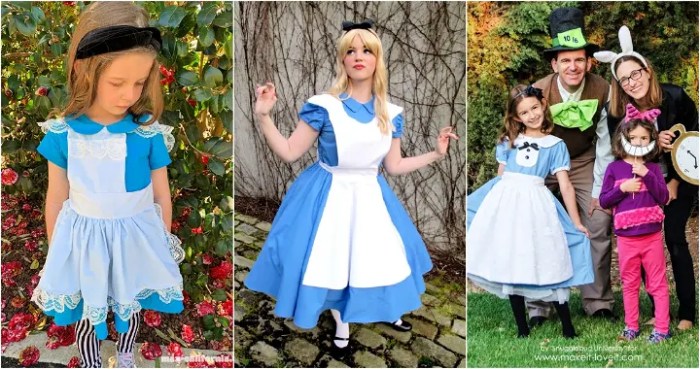 Last minute alice in wonderland costume diy