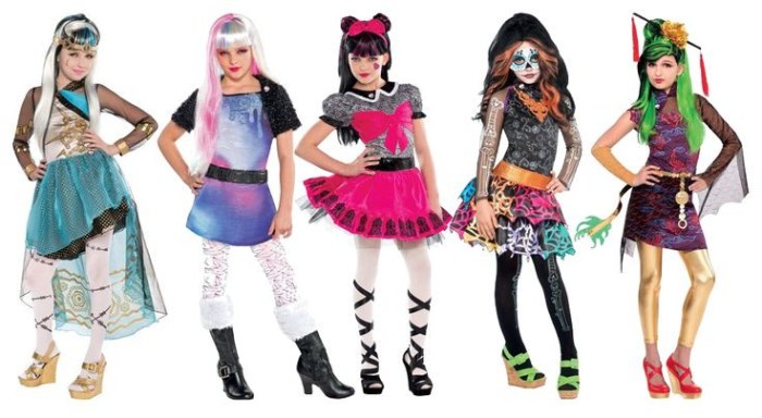 Diy monster high costume